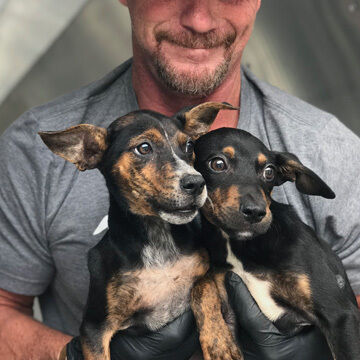 SAVE.DOG puppies being held by a transit employee